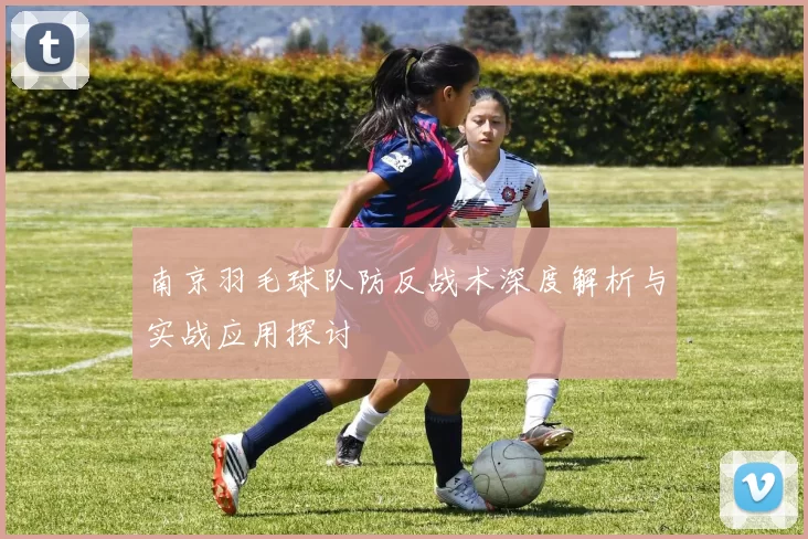 南京羽毛球队防反战术深度解析与实战应用探讨