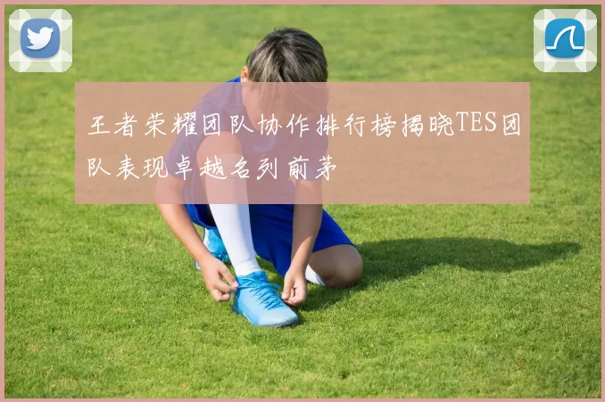 王者荣耀团队协作排行榜揭晓TES团队表现卓越名列前茅