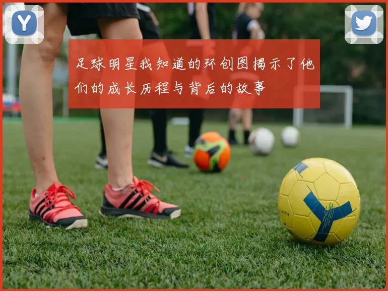 足球明星我知道的环创图揭示了他们的成长历程与背后的故事