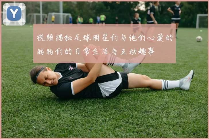 视频揭秘足球明星们与他们心爱的狗狗们的日常生活与互动趣事