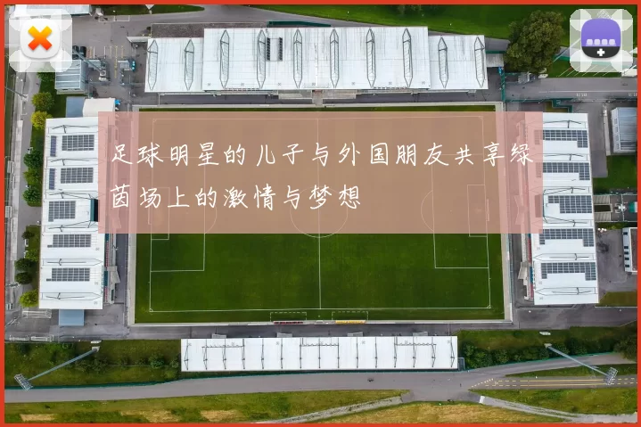 足球明星的儿子与外国朋友共享绿茵场上的激情与梦想