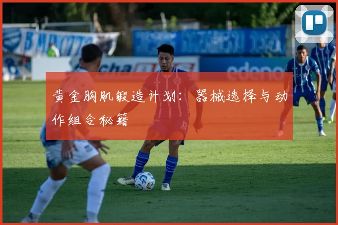 黄金胸肌锻造计划：器械选择与动作组合秘籍