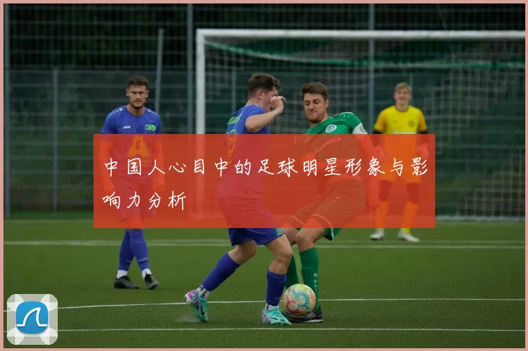 中国人心目中的足球明星形象与影响力分析