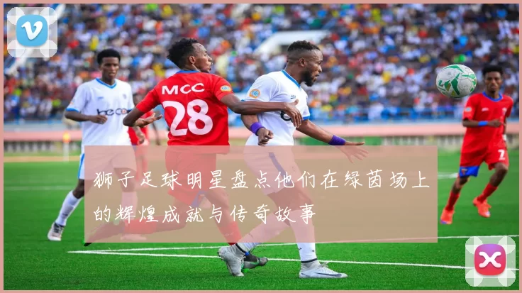 狮子足球明星盘点他们在绿茵场上的辉煌成就与传奇故事