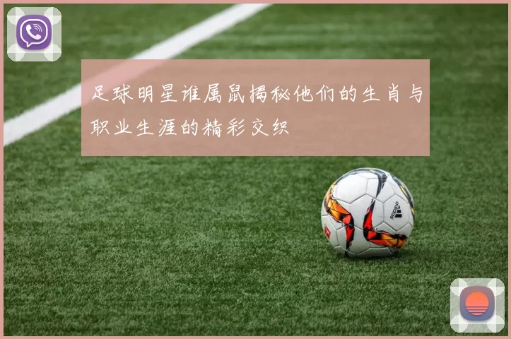 足球明星谁属鼠揭秘他们的生肖与职业生涯的精彩交织