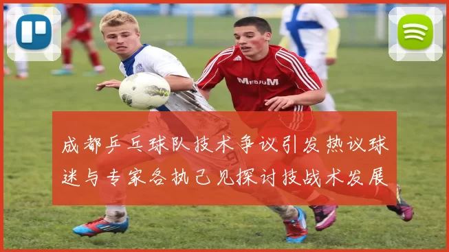 成都乒乓球队技术争议引发热议球迷与专家各执己见探讨技战术发展