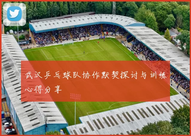 武汉乒乓球队协作默契探讨与训练心得分享
