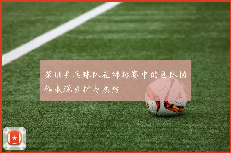 深圳乒乓球队在锦标赛中的团队协作表现分析与总结