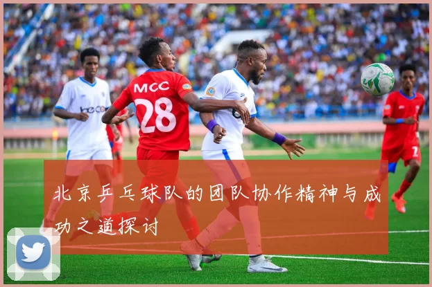 北京乒乓球队的团队协作精神与成功之道探讨