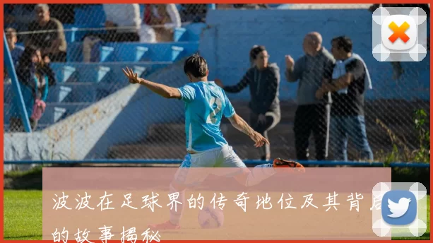 波波在足球界的传奇地位及其背后的故事揭秘