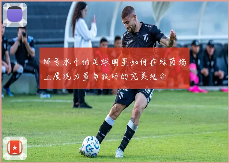 绰号水牛的足球明星如何在绿茵场上展现力量与技巧的完美结合