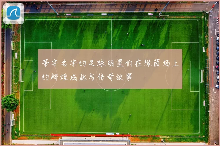 蒂字名字的足球明星们在绿茵场上的辉煌成就与传奇故事